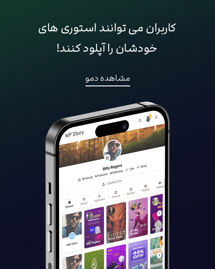 افزونه استوری وردپرس